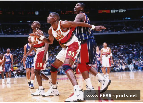 布兰：超越篮球的传奇生涯